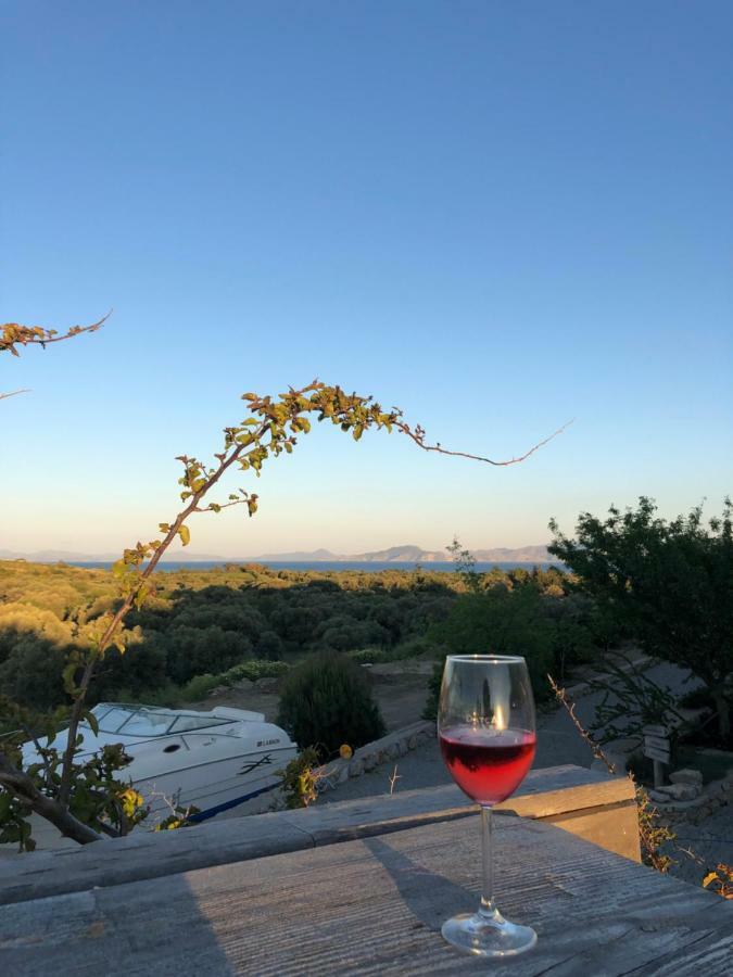 Datca Vineyard Guesthouse Exterior photo
